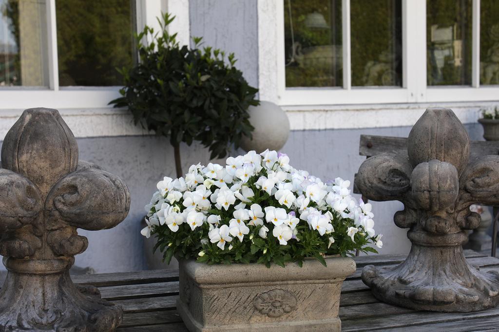 Hotel Zur Sonne Rimsting Exterior foto